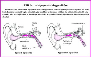 középfül kiegyenlítés