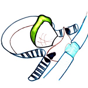 Macipanni 7
